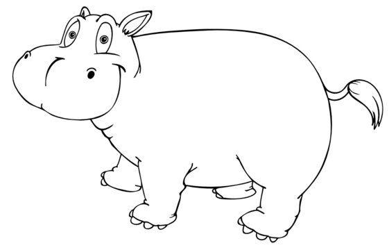 Nilpferd, Flusspferd, Afrika, Zoo, Zirkus