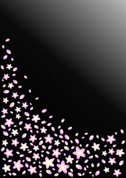 桜吹雪