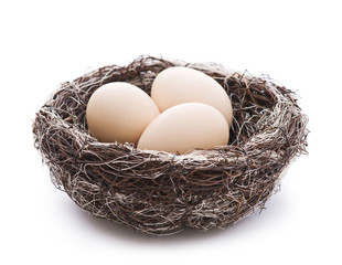 Eggs