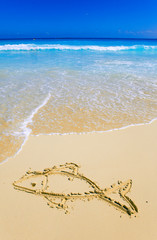 Fish-  Picture on sand