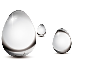 Oeuf_Transparence
