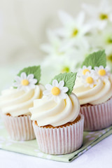 Daisy cupcakes