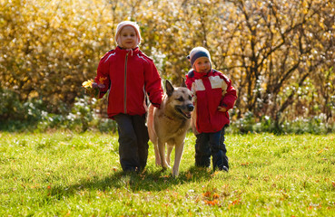 Naklejka na ściany i meble Children walking with dog in autumn forest