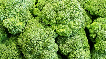 Broccoli