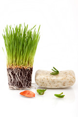 Wheatgrass and bar of soap