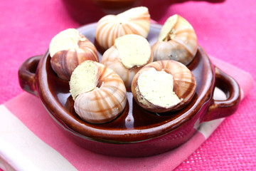 Weinbergschnecken