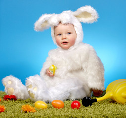 Fototapeta premium Osterhase