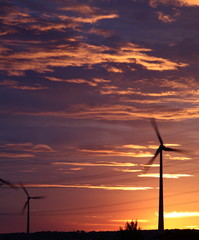 Obraz premium wind energy harvesting wind mills at sunrise
