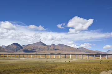 tibet: elevated railroad through tibetan plateau