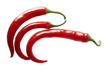 Chili pepper