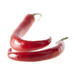 Chili pepper