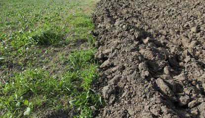 Plough.