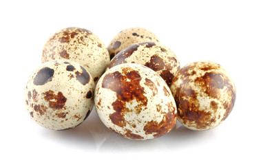 Quail eggs