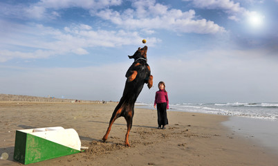 jeu de flyball sur la plage