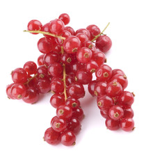 Red currant