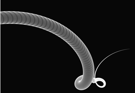 recommend clip art: The shape of the Universe. Genesis.