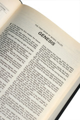 Obraz premium Genesis