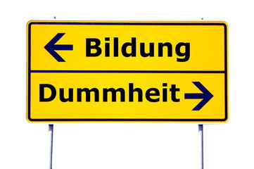 education and stupidity