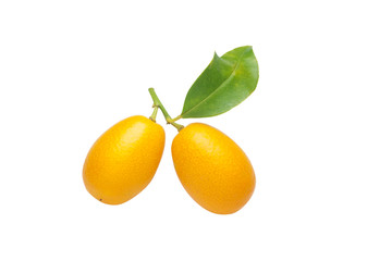 kumquat fruits close up
