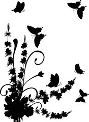 black butterflies near flowers