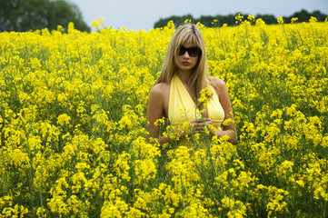 Fototapeta premium girl in yellow field