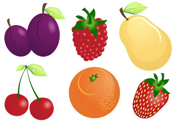 Vector illustration of fruits and berries