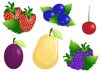 Vector illustration of ripe fruits and berries