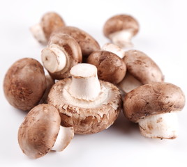 Mushrooms royal champignon on a white background