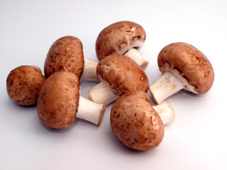 Champignons