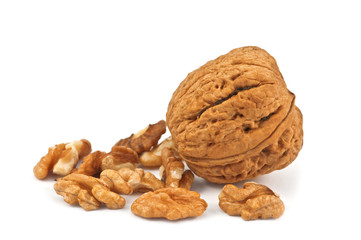 walnut