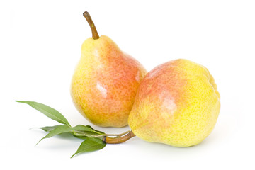 fresh pears