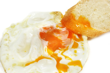 fried egg