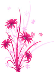 Decorative pink color floral, vector illustration