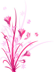 Decorative pink color floral, vector illustration