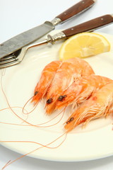 Garnelen auf Teller