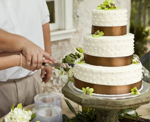 cutting wedding cake