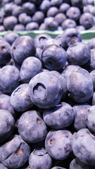 Heidelbeeren