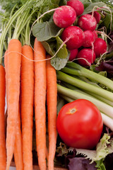 Fresh vegetables