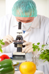 Researcher holding up a GMO vegetable in the laboratory