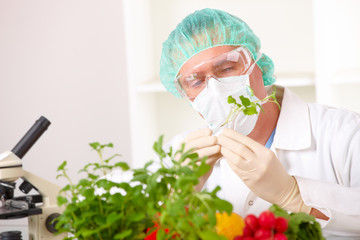 Researcher holding up a GMO vegetable in the laboratory