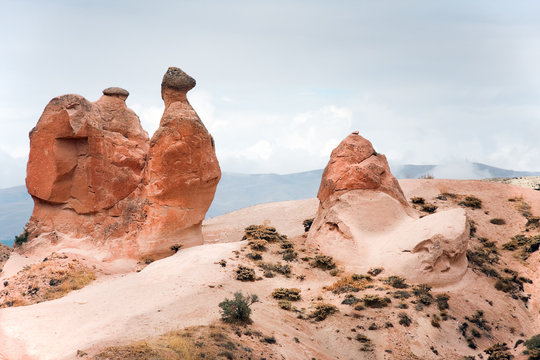 Camel rock formation  in Cappadocia  / Turkey