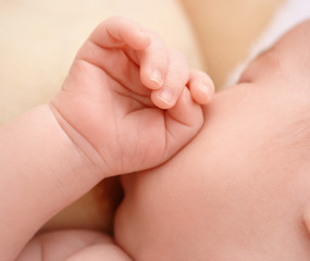 Newborn sucks mother's breast, breastfeeding