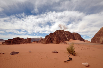 Fototapeta na wymiar Wadi Rum Landscape (wide angle)