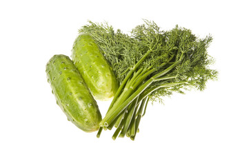 Fresh green dill and cucumber isolated on white background