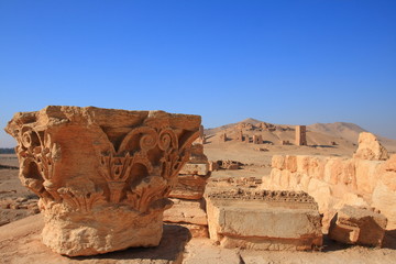 Palmyra