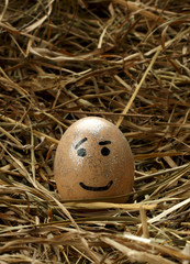Obraz premium Smiley egg in nest
