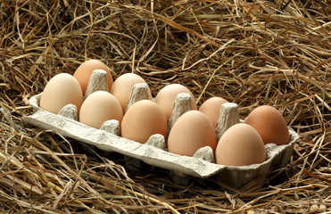 the hen's eggs in pack on haystack