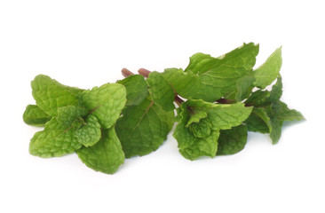 Mint leaves