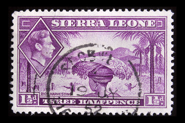 Vintage Sierra Leone postage stamp