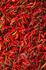 Rote Chilli